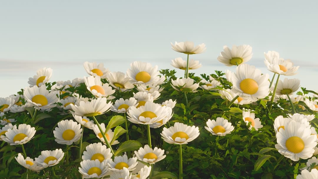 http://www.kcrea.cc/skin/default/image/zoomin.gif